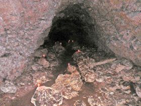 v030-1.jpg